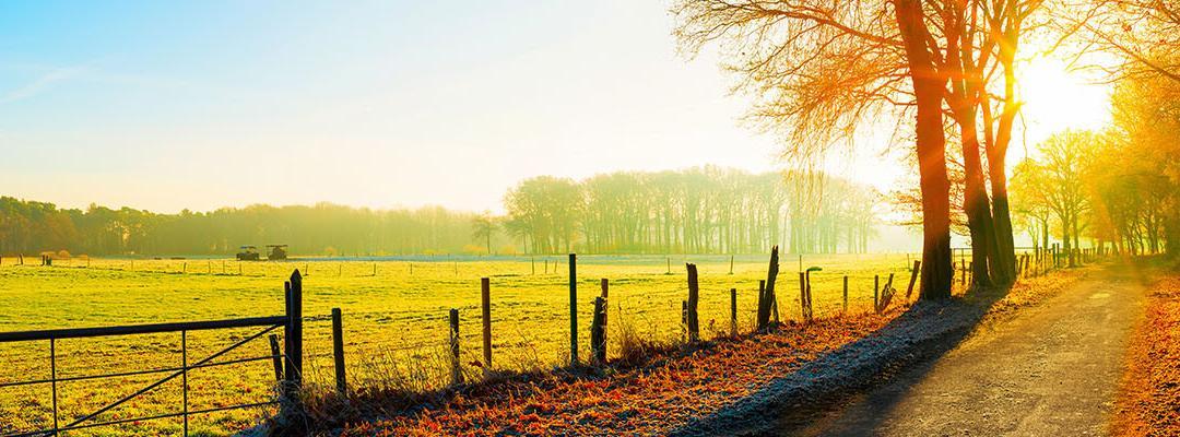 Family Mediation Week